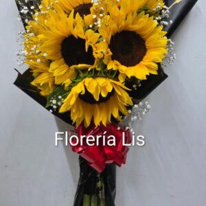 01-05 Decena de girasoles