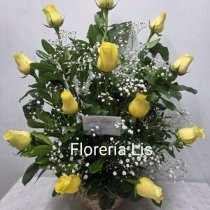 02-06 Docena de rosas