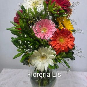 04-08 Docena de Gerberas